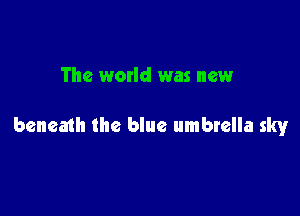 The world was new

beneath the blue umbrella sky