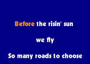 Before the risin' sun

we fly

So many roads to choose