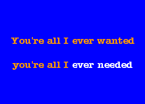 You're all I ever wanted

you're all I ever needed