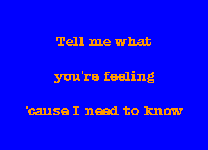 Tell me what

you're feeling

'cause I need to know