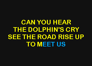 CAN YOU HEAR
THE DOLPHIN'S CRY
SEE THE ROAD RISE UP
TO MEET US