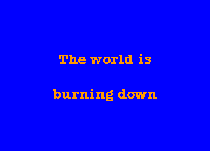 The world is

burning down
