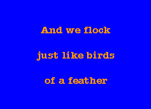 And we flock

just like birds

of a feather
