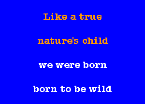 Like a true

nature's child

we were born

born to be wild