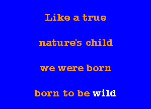 Like a true

nature's child

we were born

born to be wild