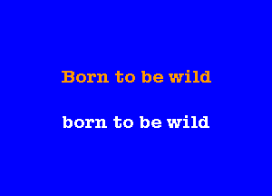 Born to be wild

born to be wild