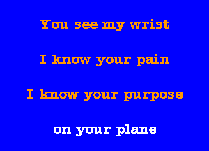 You see my wrist
I know your pain

I know your purpose

on your plane I
