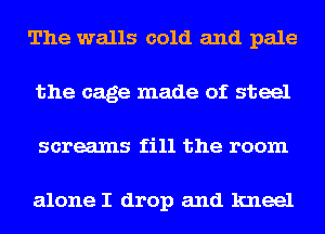 The walls cold and pale
the cage made of steel
screams fill the room

alone I drop and kneel