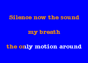 Silence now the sound
my breath

the only motion around