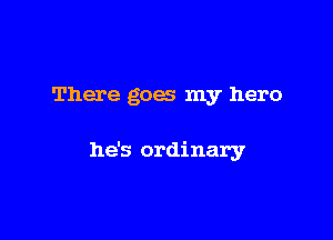 There goes my hero

he's ordinary