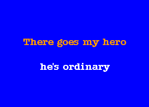 There goes my hero

he's ordinary