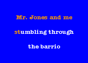 Mr. Jones and me

stumbling through

the barrio