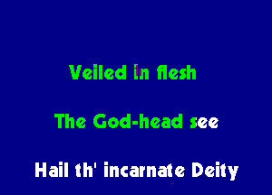 Veiled in flesh

The God-head see

Hail th' incarnate Deity