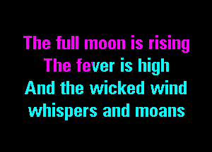 The full moon is rising
The fever is high
And the wicked wind
whispers and means