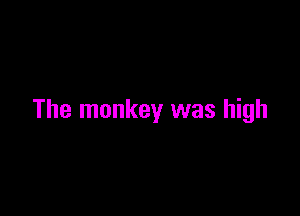 The monkey was high
