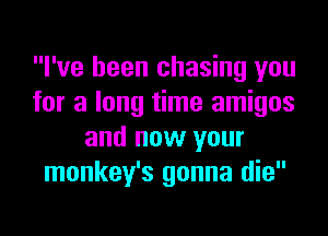 I've been chasing you
for a long time amigos

and now your
monkey's gonna die