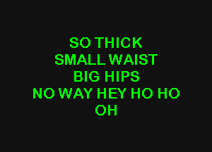 SO THICK
SMALL WAIST

BIG HIPS
NO WAY HEY HO HO
OH