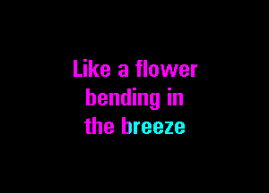 Like a flower

bending in
the breeze
