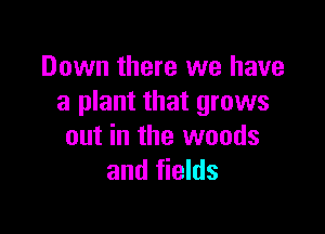 Down there we have
a plant that grows

out in the woods
and fields