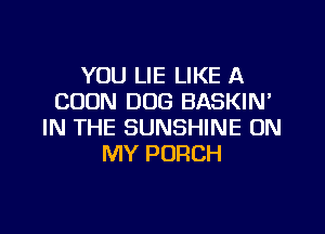 YOU LIE LIKE A
CODN DOG BASKIM

IN THE SUNSHINE ON
MY PORCH