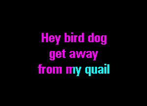 Hey bird dog

get away
from my quail