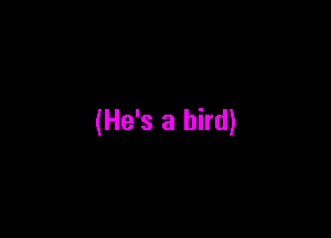 (He's a bird)