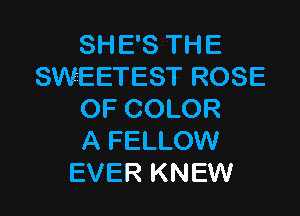 SH E'S TH E
SWEETEST ROSE

OF COLOR
A FELLOW
EVER KNEW