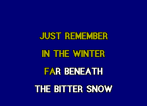 JUST REMEMBER

IN THE WINTER
FAR BENEATH
THE BITTER SNOW