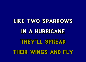 LIKE TWO SPARROWS

IN A HURRICANE
THEY'LL SPREAD
THEIR WINGS AND FLY
