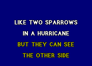 LIKE TWO SPARROWS

IN A HURRICANE
BUT THEY CAN SEE
THE OTHER SIDE
