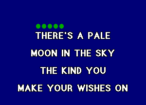 THERE'S A PALE

MOON IN THE SKY
THE KIND YOU
MAKE YOUR WISHES 0N