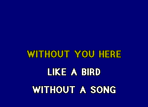 WITHOUT YOU HERE
LIKE A BIRD
WITHOUT A SONG