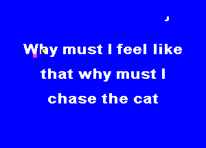 J

Why must I feel like

that why must I

chase the cat