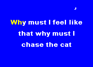 J

Why must I feel like

that why must I

chase the cat