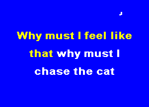 J

Why must I feel like

that why must I

chase the cat