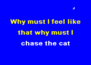 J

Why must I feel like

that why must I

chase the cat