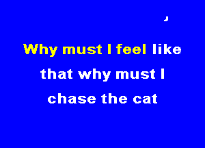 J

Why must I feel like

that why must I

chase the cat