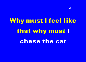 J

Why must I feel like

that why must I

chase the cat
