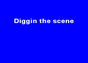 Diggin the scene