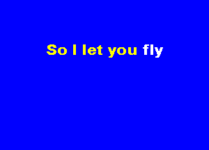 So I let you fly