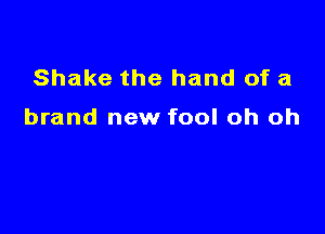 Shake the hand of a

brand new fool oh oh