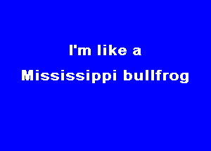I'm like a

Mississippi bullfrog