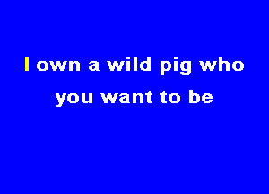 lown a wild pig who

you want to be