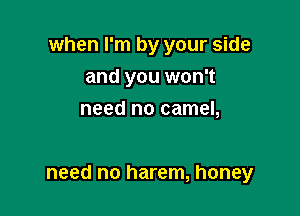 when I'm by your side
and you won't
need no camel,

need no harem, honey