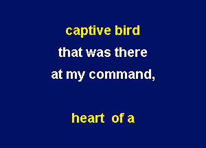 captive bird
that was there

at my command,

heart of a
