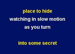 place to hide

watching in slow motion

as you turn

into some secret