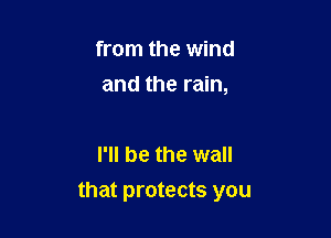 from the wind

and the rain,

I'll be the wall
that protects you