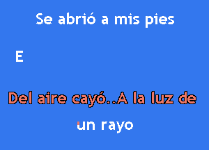 Se abri6 a mis pies

Del aire cayc')..A la luz de

un rayo