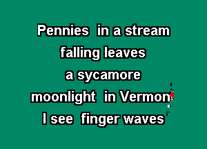 Pennies in a stream
falling leaves
a sycamore

moonlight in Vermoqi

I see finger waves