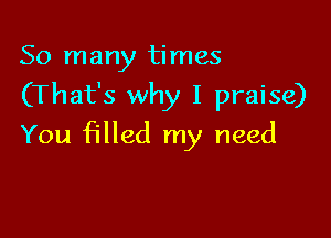So many times
(That's why I praise)

You filled my need